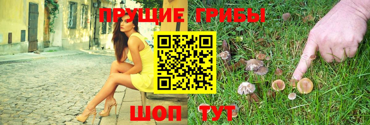 Минеральные Воды  Псилоцибиновые грибы Magic Shrooms  Вход с VPN 
